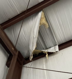 Alabama Insulation